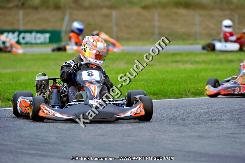 DSC_ (157).jpg